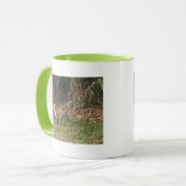 Fuchs-Fotomug Tasse (Vorderseite Links)