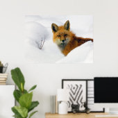 Fuchs im felsigen Berg-Nationalpark Poster (Heimbüro)