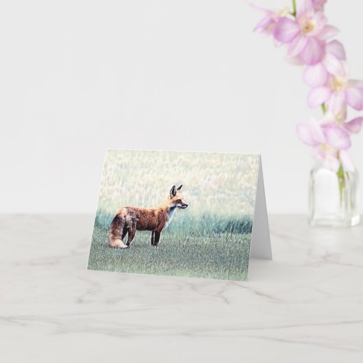 Fuchs im Gras - Blanke Grußkarte Karte (Orchidee)