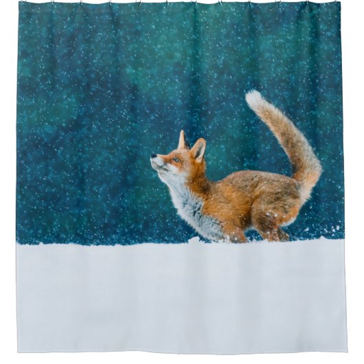 Fuchs im Schneefall. Roter Fuchs, Vulpes vulpes, s Duschvorhang (Vorderseite)