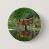 Fuchs im Teich Button (Vorderseite)