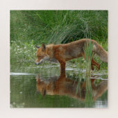 Fuchs im Teich Puzzle (Horizontal)