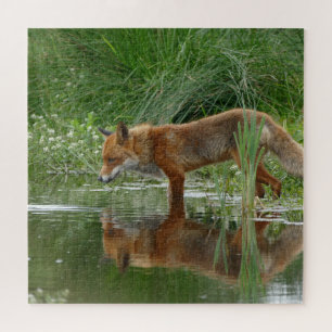 Fuchs im Teich Puzzle
