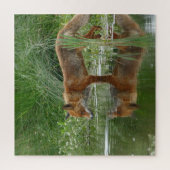 Fuchs im Teich Puzzle (Vertikal)