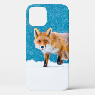 Fuchs im Winter. Rotfuchs, Vulpes vulpes, schnüffe Case-Mate iPhone Hülle
