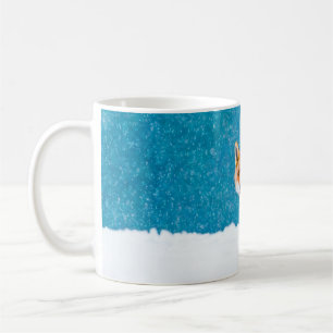 Fuchs im Winter. Rotfuchs, Vulpes vulpes, schnüffe Kaffeetasse