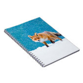 Fuchs im Winter. Rotfuchs, Vulpes vulpes, schnüffe Notizblock (Rechte Seite)