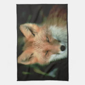 FUCHS KÜCHENTUCH (Vertikal)