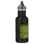 Fuchs laufen edelstahlflasche (Links)