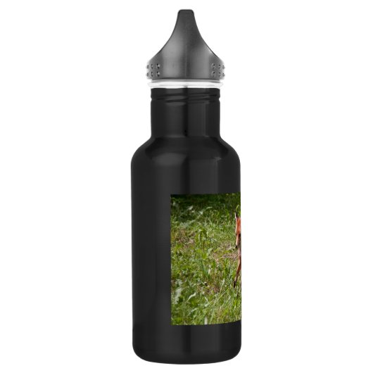 Fuchs laufen edelstahlflasche (Links)