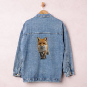 Fuchs nähert sich jeansjacke (Hangar)