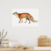 Fuchs Poster (Küche)