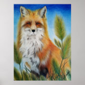 Fuchs Poster (Vorne)