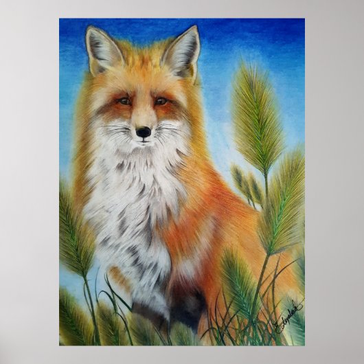 Fuchs Poster (Vorne)