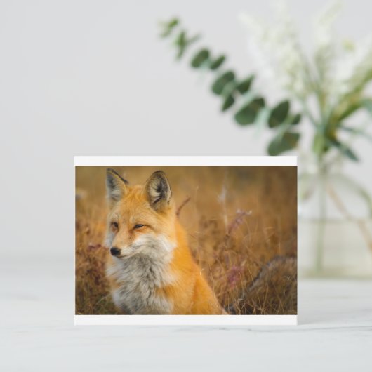 Fuchs Postkarte (Stehend Vorderseite)