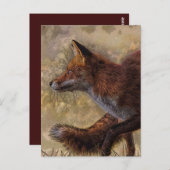 Fuchs Postkarte (Vorne/Hinten)