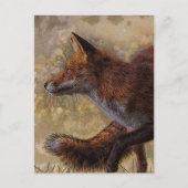 Fuchs Postkarte (Vorderseite)