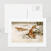 Fuchs Postkarte (Vorne/Hinten)