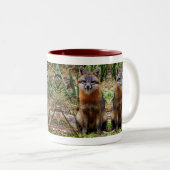 FUCHS-TASSE ZWEIFARBIGE TASSE (VorderseiteRechts)