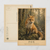 Fuchs Temperierte Wälder VINTAGE Postkarte (Vorne/Hinten)
