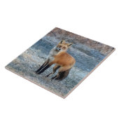 Fuchs und Frost Fliese (Seite)