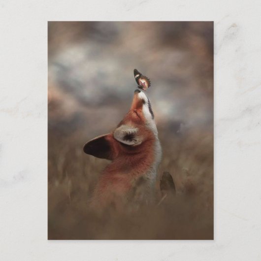 Fuchs und Schmetterling Postkarte (Vorderseite)