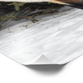 Fuchs und Schnee Fotodruck (Ecke)