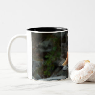 Fuchs Zweifarbige Tasse
