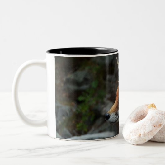 Fuchs Zweifarbige Tasse (Mit Donut)