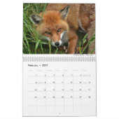 Füchse 2021 von Chris Milligan Kalender (Feb 2027)