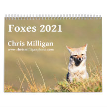 Füchse 2021 von Chris Milligan