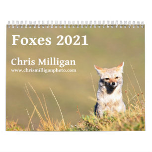 Füchse 2021 von Chris Milligan Kalender
