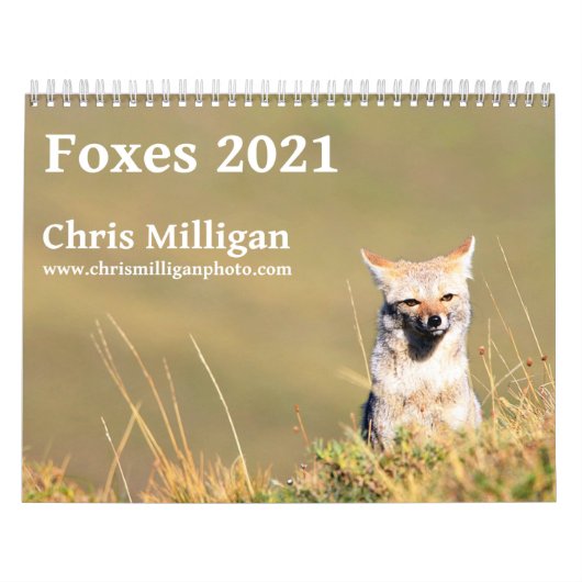 Füchse 2021 von Chris Milligan Kalender (Titelbild)