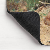 Füchse, Bruno Liljefors Mousepad (Ecke)