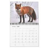 Füchse in Naturfotografie Kalender (Jan 2027)