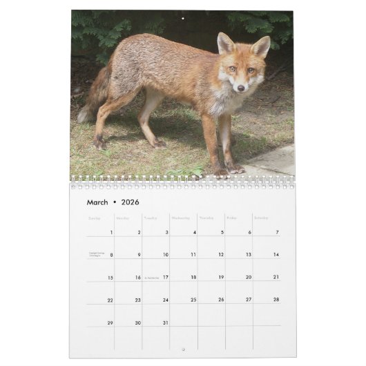 Füchse - Kalender 2016 (Mär 2026)