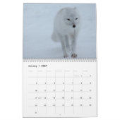 Füchse - Kalender 2016 (Jan 2027)