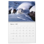 Füchse - Kalender 2016 (Feb 2027)