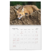 Füchse sind Spaß Kalender (Feb 2027)