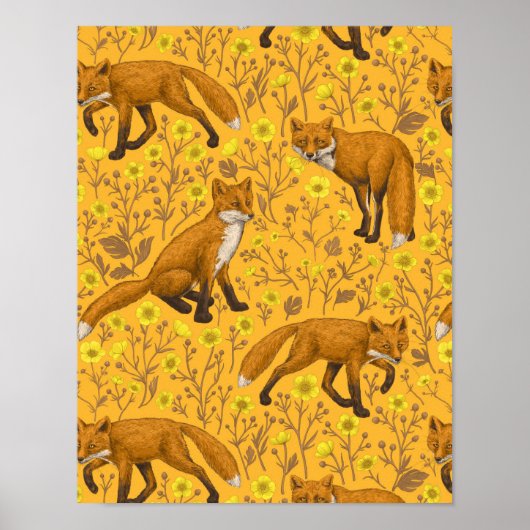 Füchse und Buttercups auf Orange Poster (Vorne)
