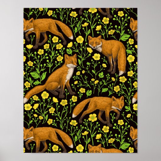 Füchse und Buttercups auf schwarz Poster (Vorne)