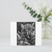 Füchse / Wölfe / Kojoten ? Postkarte (Stehend Vorderseite)