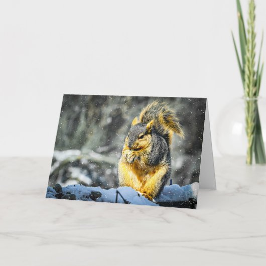 Fuchshörnchen-Weihnachtskarte Feiertagskarte (Vorderseite)