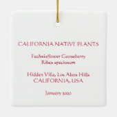 Fuchsia Blume Gooseberry Keramikornament (Rückseite)