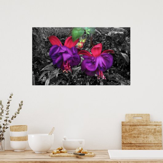 Fuchsia-Blume Poster (Küche)