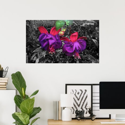 Fuchsia-Blume Poster (Heimbüro)
