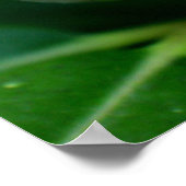 Fuchsia-Blume Poster (Ecke)