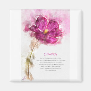 Fuchsia Clematis Magnet