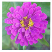 FUCHSIA-FARBIGE BLUME FLIESE (Vorderseite)