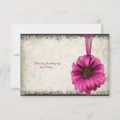Fuchsia Gerber Daisy Wedding RSVP Karte (Rückseite)